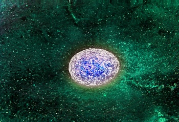 A 43C